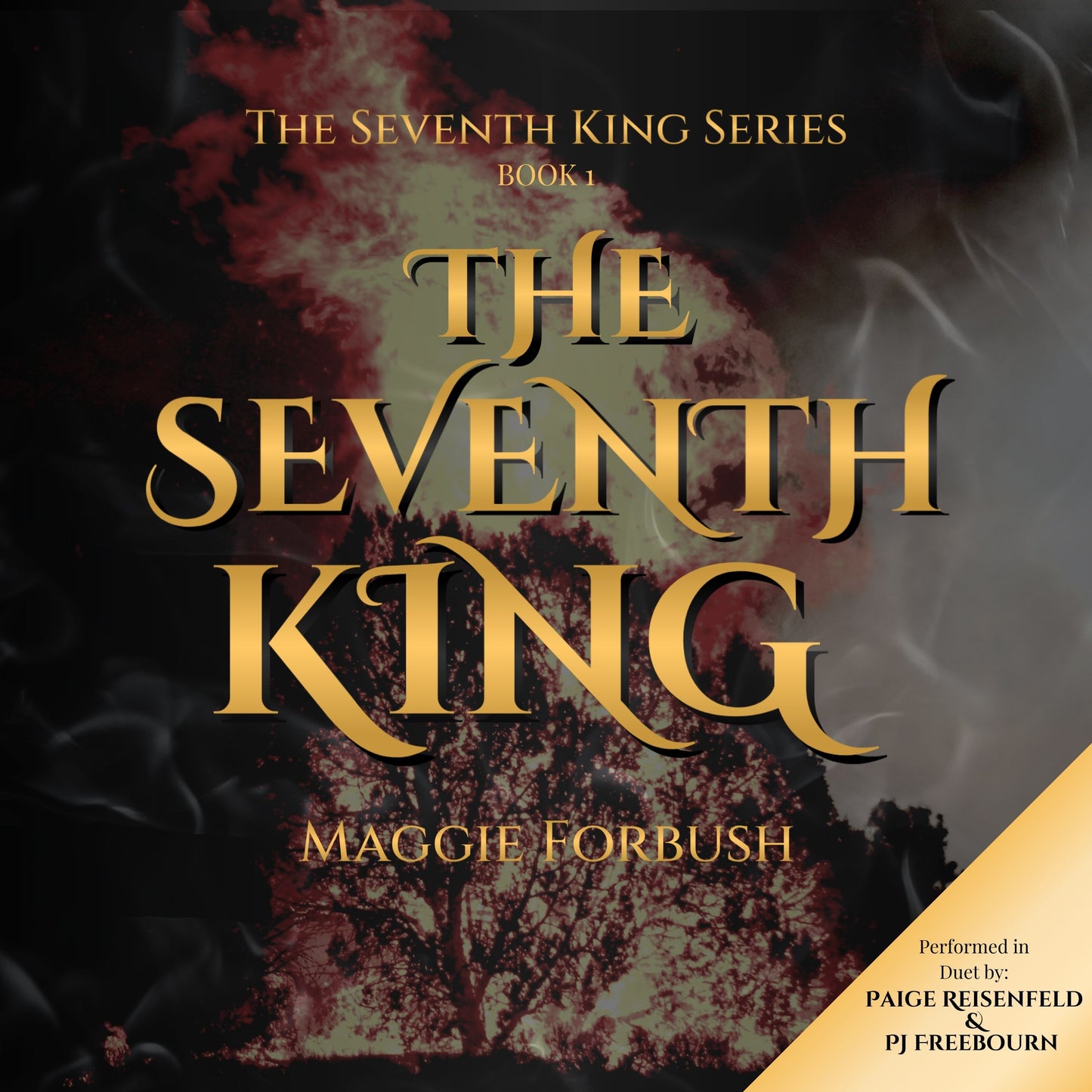 The Seventh King Audiobook (Book 1 of The Seventh King Series)